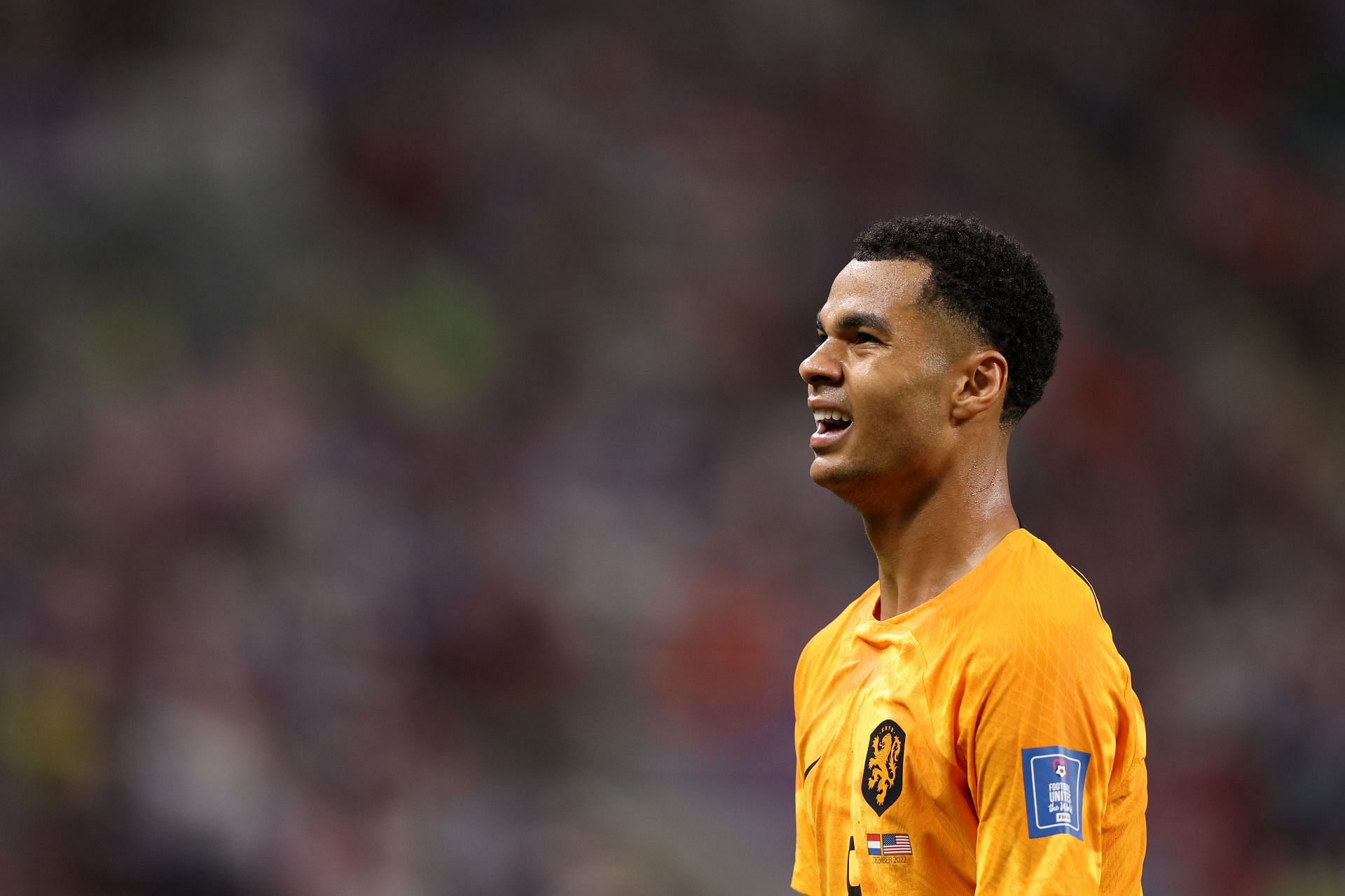 Manchester United target Cody Gakpo has impressed at the World Cup this year.